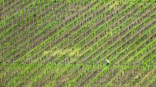 Ampel-Fraktionen einigen sich auf Entlastungen f&uuml;r die Landwirtschaft