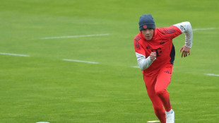 FC Bayern: Musiala zur&uuml;ck im Mannschaftstraining