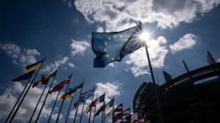 Europa w&auml;hlt - Wahllokale in Deutschland und anderen Staaten ge&ouml;ffnet