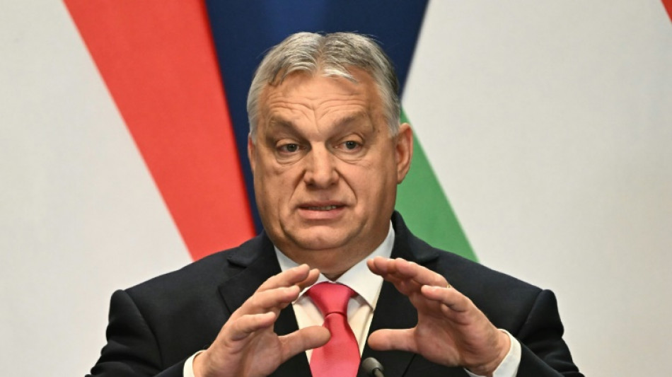 Orban: Ungarns Regierung "unterst&uuml;tzt Nato-Mitgliedschaft Schwedens"