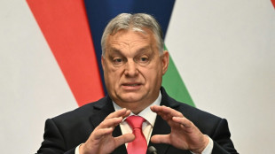 Streit um Nato-Beitritt: Orban l&auml;dt schwedischen Kollegen nach Budapest ein