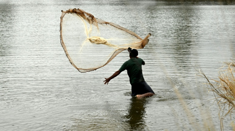 L'ONU alerte sur le "danger accru" des vagues de chaleur pour les femmes enceintes avant la COP31