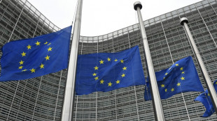 EU-Kommission will europ&auml;ische Medienaufsicht schaffen