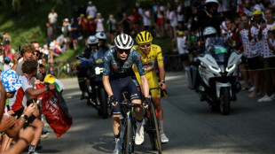 Cyclisme: avant leur reprise, les débuts de saison de Pogacar et Vingegaard à la loupe