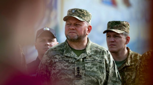 Ex-Armeechef Saluschnyj wird neuer ukrainischer Botschafter in Gro&szlig;britannien