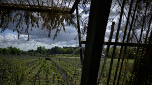 EU-Parlament beschlie&szlig;t neue Kennzeichnung f&uuml;r alkoholfreie Weine