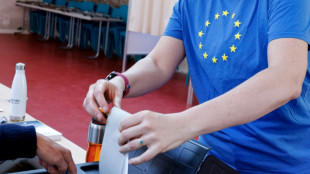 Parteien in Deutschland beraten &uuml;ber Ergebnis der Europawahl
