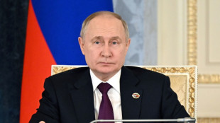 Pr&auml;sidentschaftswahl in Russland: Putin offiziell als Kandidat registriert