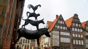 Staatsgerichtshof weist AfD-Beschwerden ab: B&uuml;rgerschaftswahl in Bremen ist g&uuml;ltig