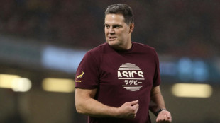 Erasmus making Springboks 'so easy to dislike' - Smith