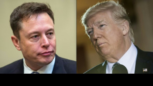 Tech-Milliard&auml;r Musk will Trump mit monatlich 45 Millionen Dollar unterst&uuml;tzen