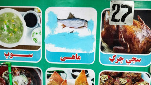 Governo talib&atilde; do Afeganist&atilde;o quer proibir publica&ccedil;&atilde;o de imagens de seres vivos na imprensa