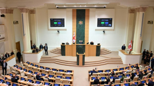 Georgiens Parlamentspr&auml;sident setzt umstrittenes LGBTQ-Gesetz in Kraft