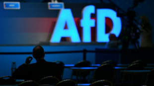 CDU-Parlamentarier Wanderwitz: "H&ouml;chste Zeit" f&uuml;r AfD-Verbotsantrag