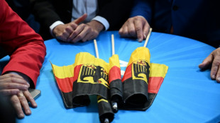 Vorl&auml;ufiges Ergebnis von EU-Wahl: AfD siegt in Ostdeutschland, Union im Westen