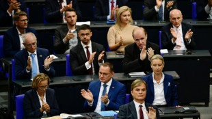 Bundesverfassungsgericht urteilt &uuml;ber AfD-Vorsitze von Bundestagsaussch&uuml;ssen