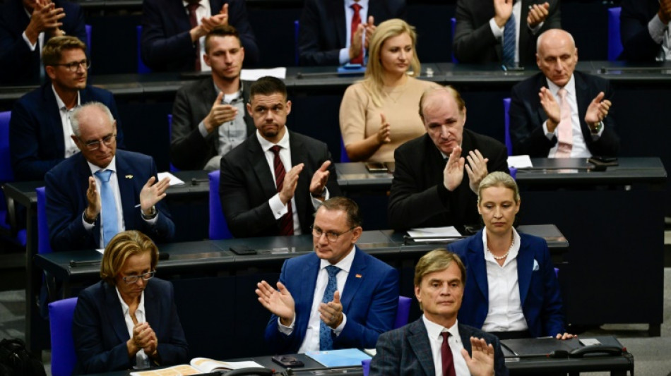 Karlsruhe: AfD hat kein automatisches Recht auf Vorsitz von Bundestagsaussch&uuml;ssen