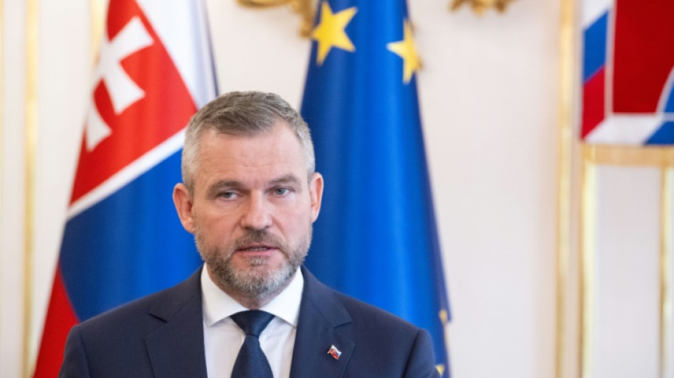 Gew&auml;hlter slowakischer Pr&auml;sident fordert nach Attentat Aussetzen des Wahlkampfs