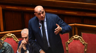 Crosetto, 'fuga dal Libano minerebbe credibilit&agrave; Onu'