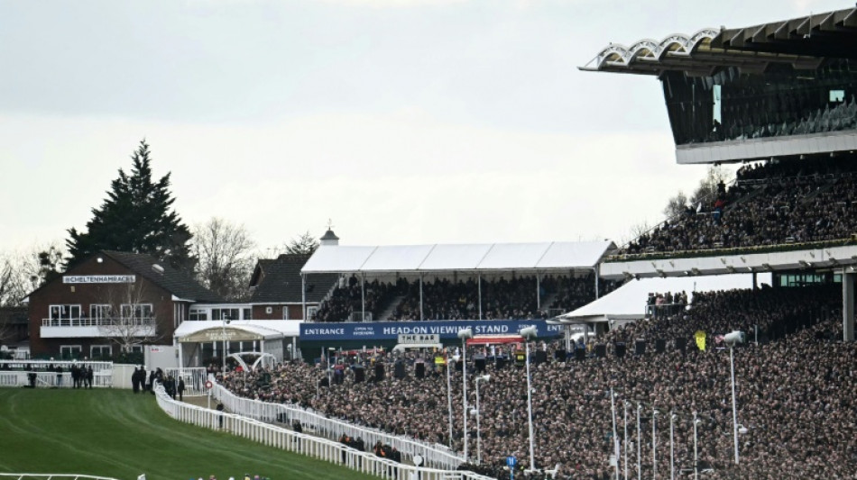 Redknapp and The Jukebox Man the headline act at Cheltenham Festival