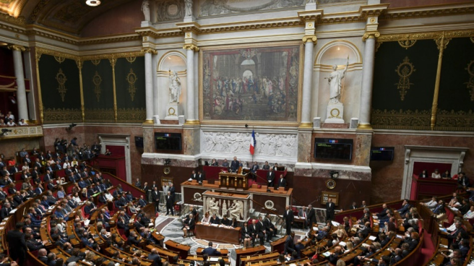 Derni&egrave;re s&eacute;ance &agrave; l'Assembl&eacute;e nationale au parfum de campagne &eacute;lectorale