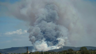 Un incendio en el sur de Francia destruye 2.000 hect&aacute;reas de bosque