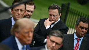 Musk returns to US government for Pentagon war study