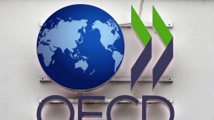 Ocse, dalle tasse sul lavoro introiti record. In Italia rapporto imposte-Pil al top