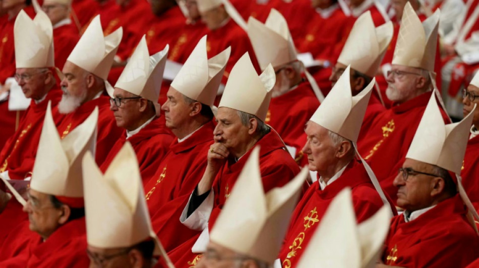 Video game rides conclave excitement with cardinal fantasy team