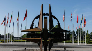 Bundestagsdebatte zu 75 Jahre Nato - Baerbock: Russland bleibt gr&ouml;&szlig;te Bedrohung