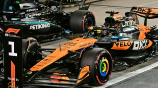 F1/Oscar Piastri (McLaren) partira en pole position du GP de Bahreïn