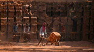 Malgr&eacute; la r&eacute;bellion, les travailleurs migrants toujours plus nombreux au Cachemire indien