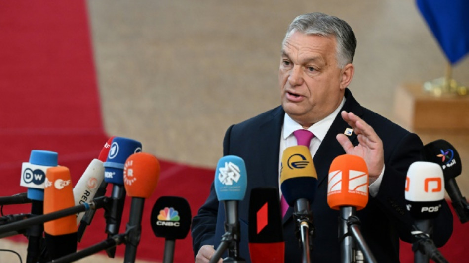 L'UE d&eacute;cide d'ouvrir des n&eacute;gociations d'adh&eacute;sion avec l'Ukraine