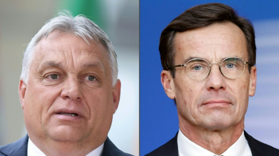 Schwedens Regierungschef will nicht mit Ungarn &uuml;ber Nato-Beitritt verhandeln