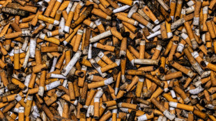 Bande soll in gro&szlig;em Stil unversteuerte Zigaretten hergestellt haben