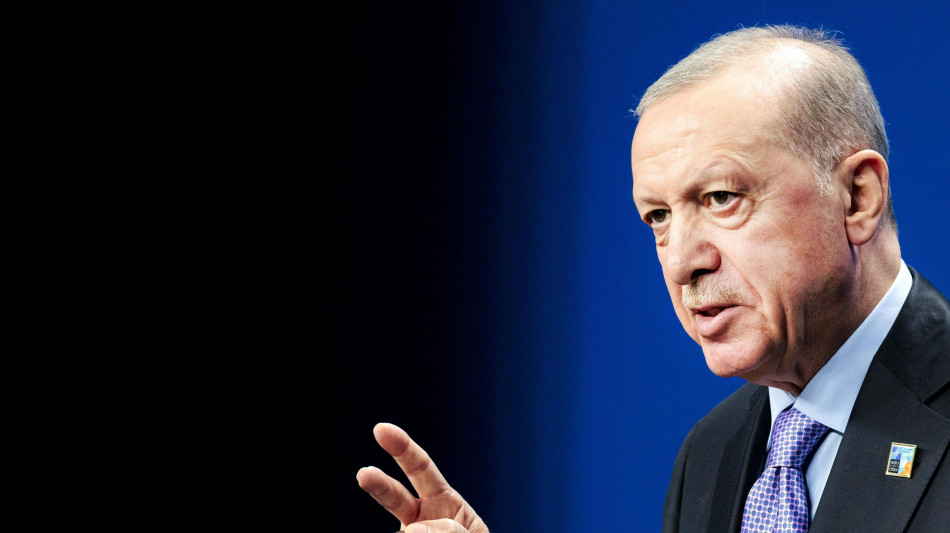 La Turchia blocca Grok, l'Intelligenza artificiale di Musk su X