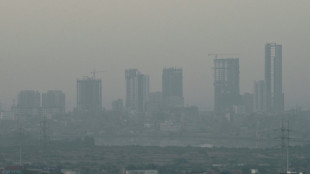 Au Pakistan, la r&eacute;sistance citoyenne s'organise pour d&eacute;fendre son "droit &agrave; respirer de l'air pur"