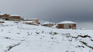 Schnee im Nordosten der Türkei - Westen des Landes kämpft zeitgleich gegen Waldbrände