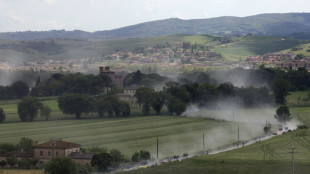 Tour d'Italie: Wout Van Aert, la rédemption sur les chemins blancs
