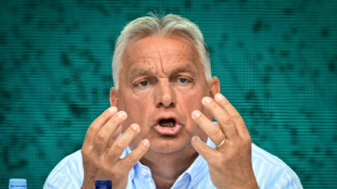 Einreise f&uuml;r Russen: Deutsche Politiker fordern Konsequenzen f&uuml;r Ungarn