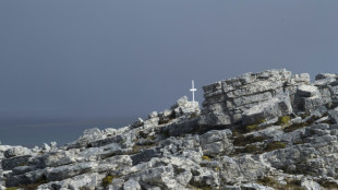 Argentina impulsa una denuncia penal contra la israel&iacute; Navitas por operar en Malvinas