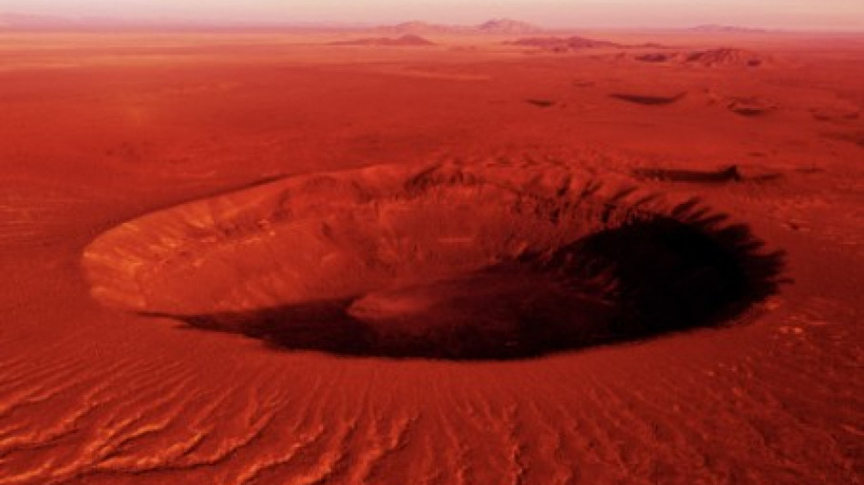 Willie Peyote, il 15 maggio esce il nuovo album "Anatomia di uno schianto prolungato"