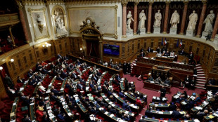 Franz&ouml;sischer Senat stimmt gegen EU-Abkommen mit Kanada