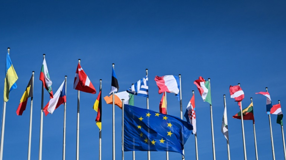 St&auml;rkung des Binnenmarkts: Einzelhandel ruft zur Teilnahme an Europawahl auf