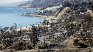 Man arrested over deadly January fire in Los Angeles