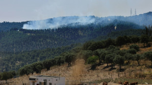 Buschbr&auml;nde nach gegenseitigen Angriffen in Israel und im Libanon