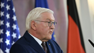 Steinmeier startet "Initiative f&uuml;r einen handlungsf&auml;higen Staat"