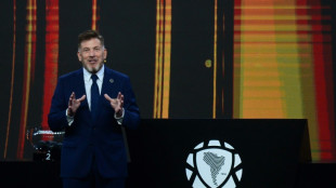 Presidente da Conmebol se desculpa ap&oacute;s comparar brasileiros &agrave; macaca Chita