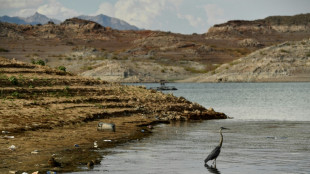 EEUU recorta cuotas de agua del R&iacute;o Colorado a algunos estados y a M&eacute;xico