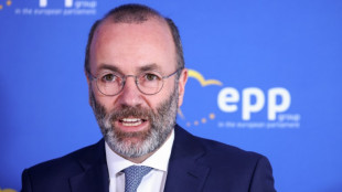 Weber fordert Aufnahme von iranischen Revolutionsgarden auf EU-Terrorliste